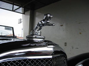 Jaguar2.jpg
